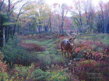 Animal Painting - Paisaje de otoño WhitetailL